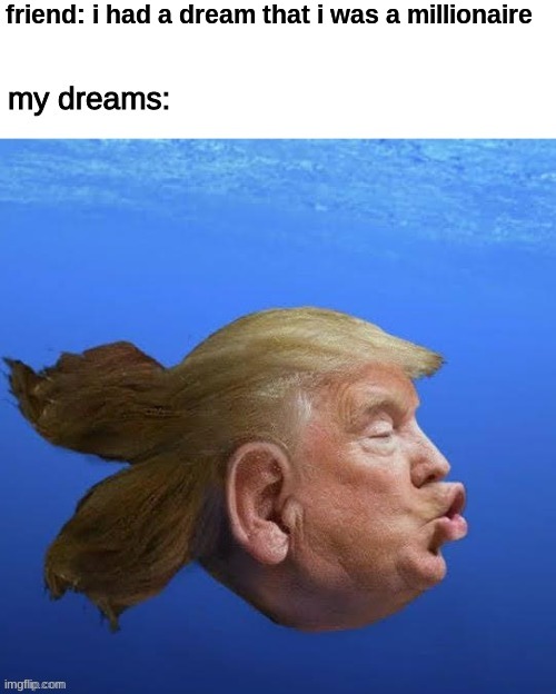 No offense to trump | friend: i had a dream that i was a millionaire | made w/ Imgflip meme maker