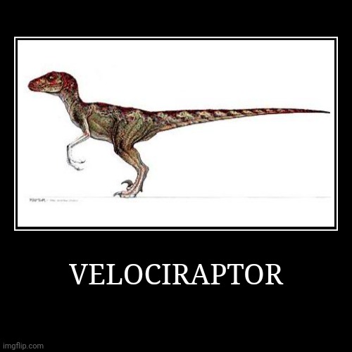 Velociraptor | VELOCIRAPTOR | | image tagged in demotivationals,velociraptor | made w/ Imgflip demotivational maker