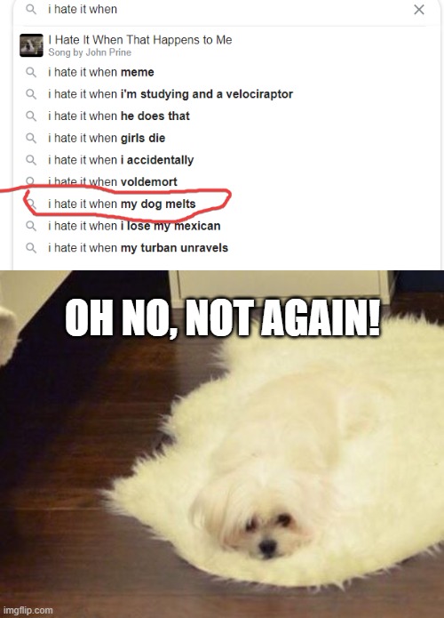 I hate it when my dog melts... WTF? | OH NO, NOT AGAIN! | image tagged in memes,dog | made w/ Imgflip meme maker