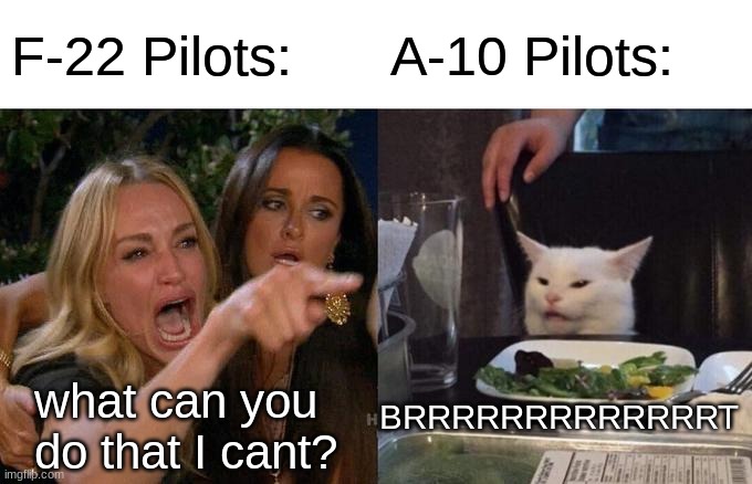 Woman Yelling At Cat Meme | F-22 Pilots:; A-10 Pilots:; BRRRRRRRRRRRRRT; what can you do that I cant? | image tagged in memes,woman yelling at cat | made w/ Imgflip meme maker