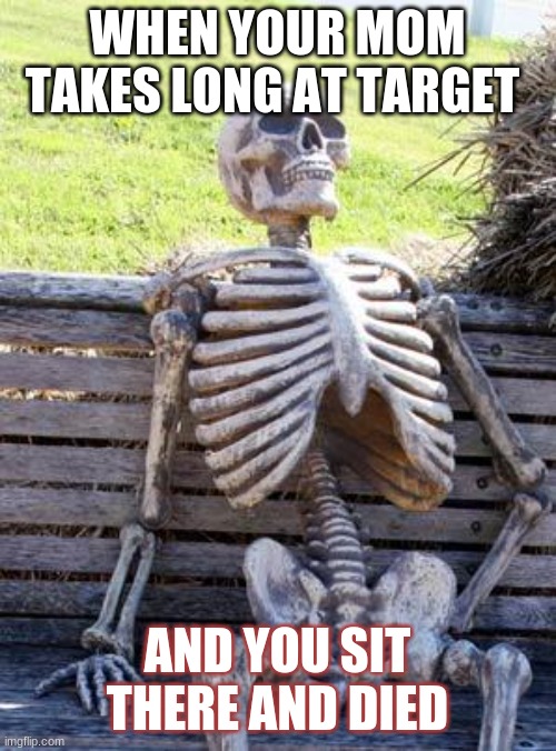 WHEN YOUR MOM TAKES LONG AT TARGET AND YOU SIT THERE AND DIED | image tagged in memes,waiting skeleton | made w/ Imgflip meme maker