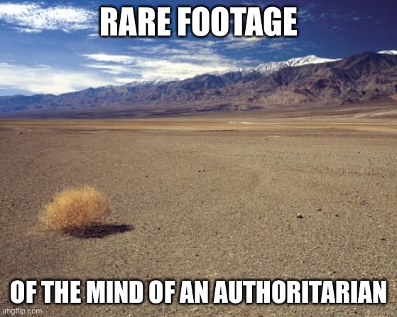 desert tumbleweed | RARE FOOTAGE; OF THE MIND OF AN AUTHORITARIAN | image tagged in desert tumbleweed | made w/ Imgflip meme maker