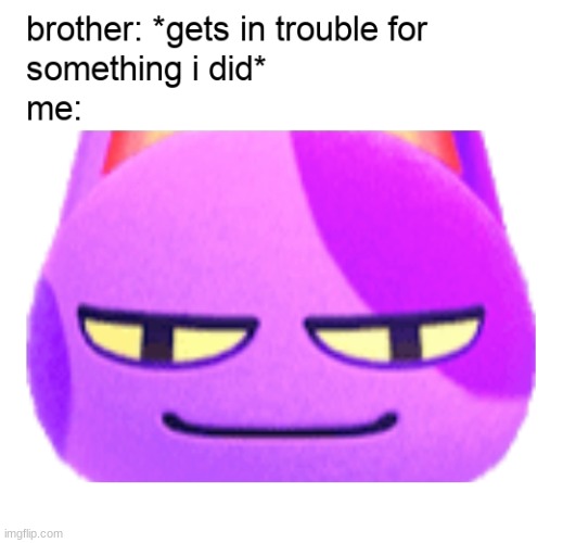 Sibling Memes Collection | image tagged in siblings | made w/ Imgflip meme maker