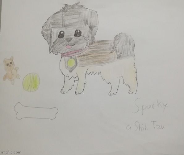 I drew my dog Sparky a shih tzu | image tagged in drawings | made w/ Imgflip meme maker