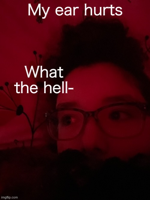 What the hell | My ear hurts | image tagged in what the hell | made w/ Imgflip meme maker