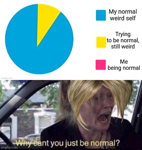 Wacky Weird | image tagged in weird,unique,why can't you just be normal,normal,pie charts | made w/ Imgflip meme maker