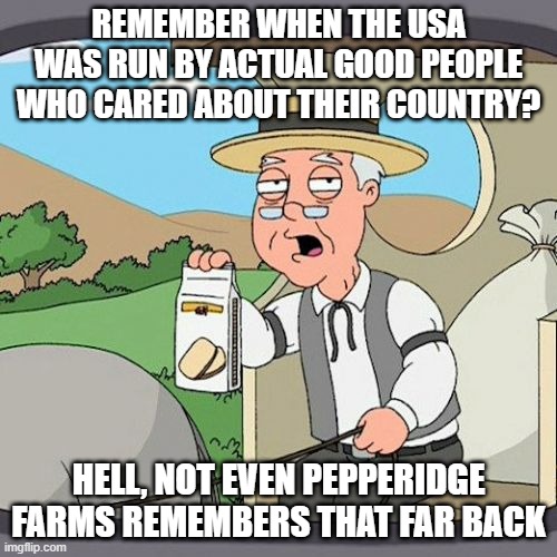 Pepperidge Farm Remembers | REMEMBER WHEN THE USA WAS RUN BY ACTUAL GOOD PEOPLE WHO CARED ABOUT THEIR COUNTRY? HELL, NOT EVEN PEPPERIDGE FARMS REMEMBERS THAT FAR BACK | image tagged in memes,pepperidge farm remembers | made w/ Imgflip meme maker