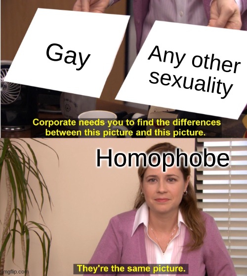 They're The Same Picture | Gay; Any other sexuality; Homophobe | image tagged in memes,they're the same picture | made w/ Imgflip meme maker