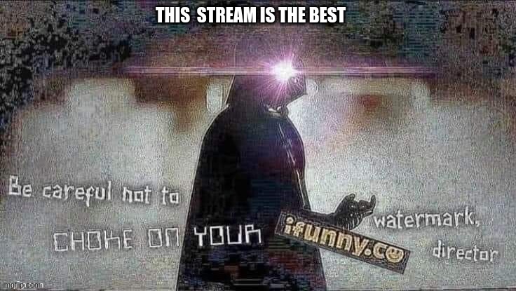 Careful not to choke on your ifunny | THIS  STREAM IS THE BEST | image tagged in careful not to choke on your ifunny | made w/ Imgflip meme maker