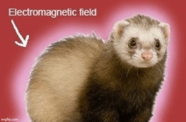 One more | made w/ Imgflip meme maker