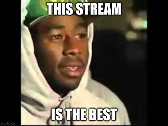 See, i'm just testing my theory | THIS STREAM; IS THE BEST | image tagged in okay | made w/ Imgflip meme maker