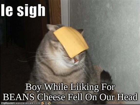 Le sigh cat | Boy While Liiking For BEANS Cheese Fell On Our Head | image tagged in le sigh cat | made w/ Imgflip meme maker