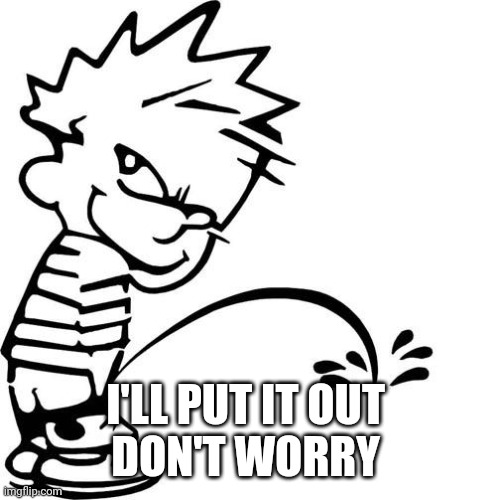 Calvin Peeing | I'LL PUT IT OUT 
DON'T WORRY | image tagged in calvin peeing | made w/ Imgflip meme maker