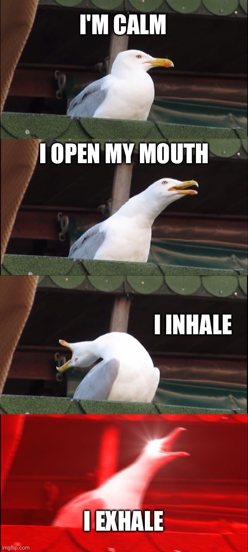 Inhaling Seagull Meme | I'M CALM; I OPEN MY MOUTH; I INHALE; I EXHALE | image tagged in memes,inhaling seagull,anti meme | made w/ Imgflip meme maker