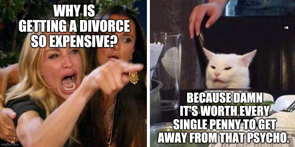 Smudge the cat | WHY IS GETTING A DIVORCE SO EXPENSIVE? J M; BECAUSE DAMN IT'S WORTH EVERY SINGLE PENNY TO GET AWAY FROM THAT PSYCHO. | image tagged in smudge the cat | made w/ Imgflip meme maker