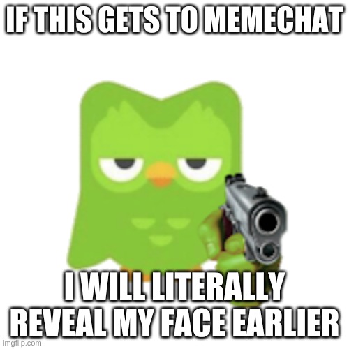 Duolingo | IF THIS GETS TO MEMECHAT; I WILL LITERALLY REVEAL MY FACE EARLIER | image tagged in duolingo | made w/ Imgflip meme maker