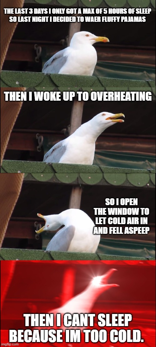 Inhaling Seagull | THE LAST 3 DAYS I ONLY GOT A MAX OF 5 HOURS OF SLEEP
SO LAST NIGHT I DECIDED TO WAER FLUFFY PAJAMAS; THEN I WOKE UP TO OVERHEATING; SO I OPEN THE WINDOW TO LET COLD AIR IN AND FELL ASPEEP; THEN I CANT SLEEP BECAUSE IM TOO COLD. | image tagged in memes,inhaling seagull | made w/ Imgflip meme maker