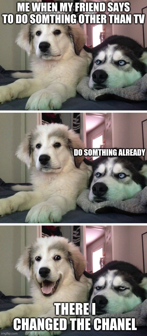 lol | ME WHEN MY FRIEND SAYS TO DO SOMTHING OTHER THAN TV; DO SOMTHING ALREADY; THERE I CHANGED THE CHANEL | image tagged in bad pun dogs | made w/ Imgflip meme maker