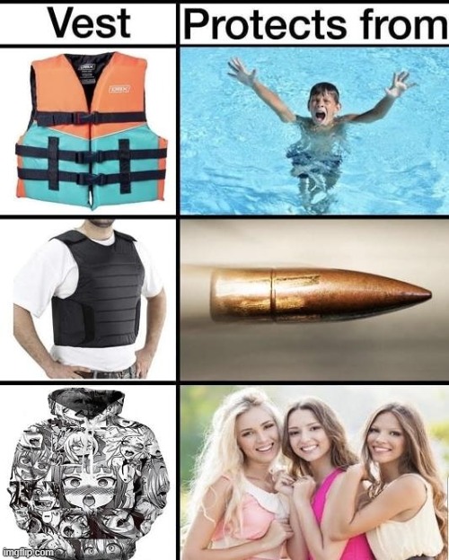 Vest | image tagged in vests be like | made w/ Imgflip meme maker