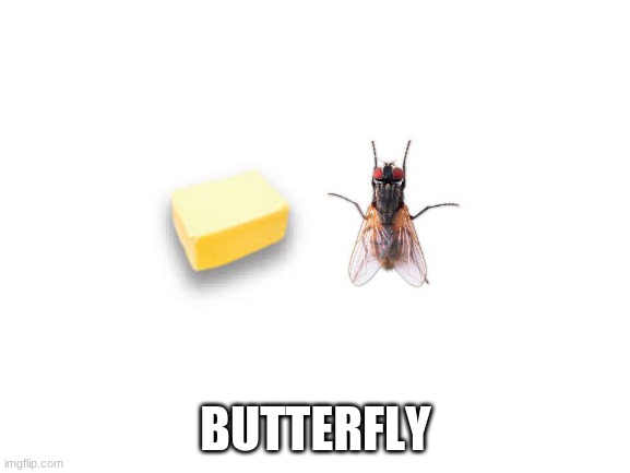 Butterfly | BUTTERFLY | image tagged in butter,fly | made w/ Imgflip meme maker