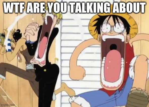 one piece | WTF ARE YOU TALKING ABOUT | image tagged in one piece | made w/ Imgflip meme maker