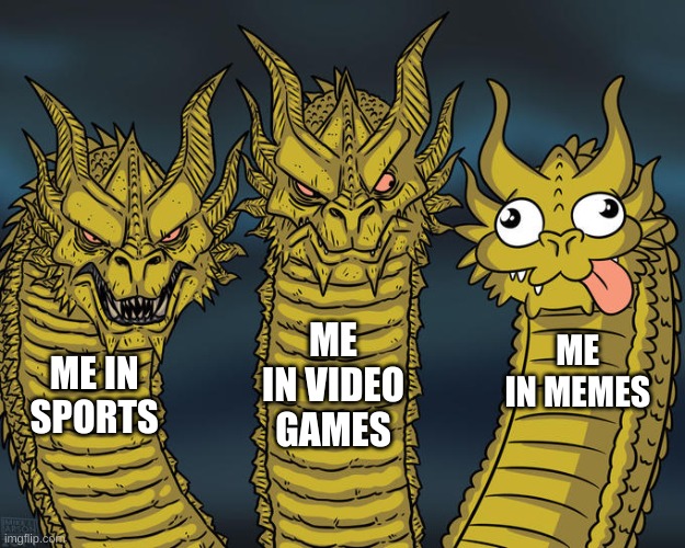 drag0n | ME IN VIDEO GAMES; ME IN MEMES; ME IN SPORTS | image tagged in three-headed dragon,dragon,memes,funny memes,stop reading the tags,or you will perish by the hands of shrek | made w/ Imgflip meme maker