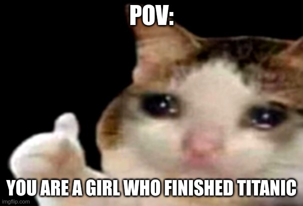 Sad cat thumbs up | POV:; YOU ARE A GIRL WHO FINISHED TITANIC | image tagged in sad cat thumbs up | made w/ Imgflip meme maker