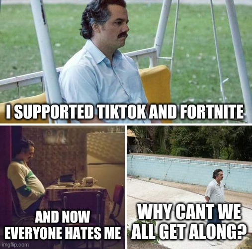 #Stop Hate | I SUPPORTED TIKTOK AND FORTNITE; AND NOW EVERYONE HATES ME; WHY CANT WE ALL GET ALONG? | image tagged in memes,sad pablo escobar | made w/ Imgflip meme maker