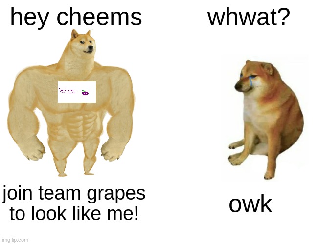 Buff Doge vs. Cheems Meme | hey cheems; whwat? join team grapes to look like me! owk | image tagged in memes,buff doge vs cheems | made w/ Imgflip meme maker