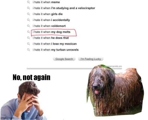 No, Not again | No, not again | image tagged in i hate it when,dogs | made w/ Imgflip meme maker