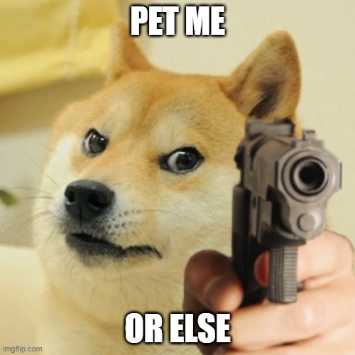 Doge holding a gun | PET ME; OR ELSE | image tagged in doge holding a gun | made w/ Imgflip meme maker