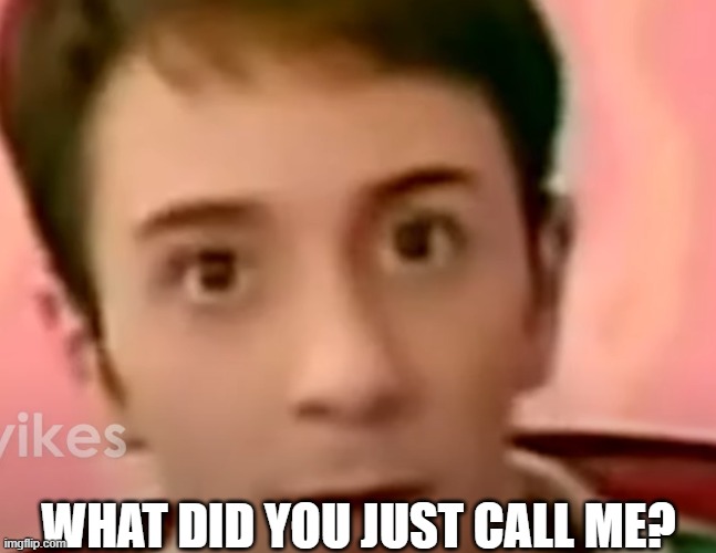 unsettled steve | WHAT DID YOU JUST CALL ME? | image tagged in unsettled steve | made w/ Imgflip meme maker