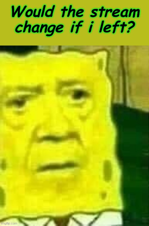 Would the stream change if i left? | image tagged in i love this template xdd,and n o it would prolly stay the same | made w/ Imgflip meme maker