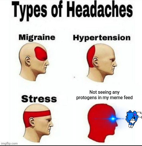 Types of Headaches meme | Not seeing any protogens in my meme feed | image tagged in types of headaches meme | made w/ Imgflip meme maker