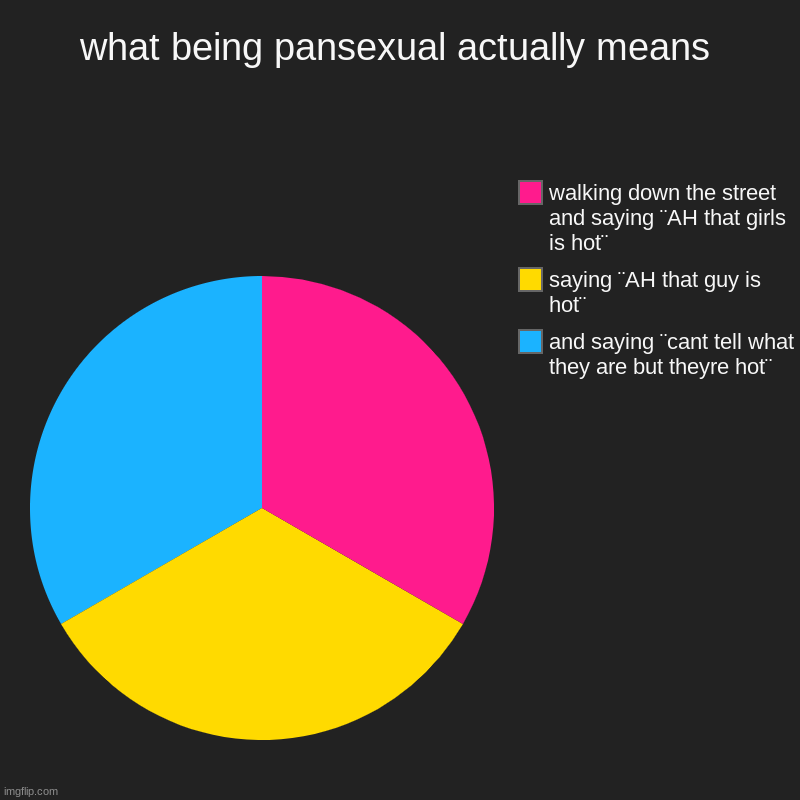 haha i dont feel attracted to pans | what being pansexual actually means | and saying ¨cant tell what they are but theyre hot¨, saying ¨AH that guy is hot¨, walking down the str | image tagged in charts,pie charts,attraction,lgbtq,lgbt,frying pan | made w/ Imgflip chart maker