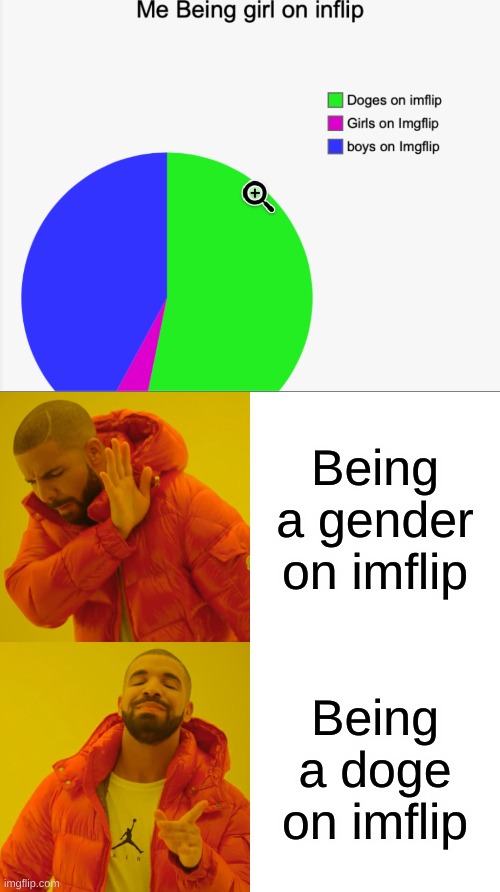 wut | Being a gender on imflip; Being a doge on imflip | image tagged in memes,drake hotline bling | made w/ Imgflip meme maker