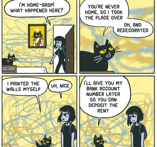 Look at me. I'm the owner now | image tagged in funny,cats,animals,comics/cartoons,rent | made w/ Imgflip meme maker