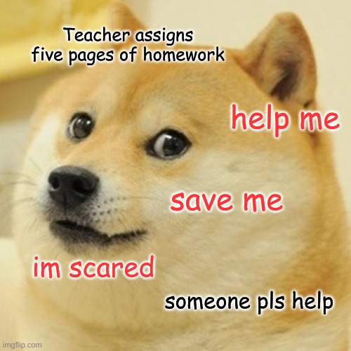 Doge | Teacher assigns five pages of homework; help me; save me; im scared; someone pls help | image tagged in memes,doge | made w/ Imgflip meme maker