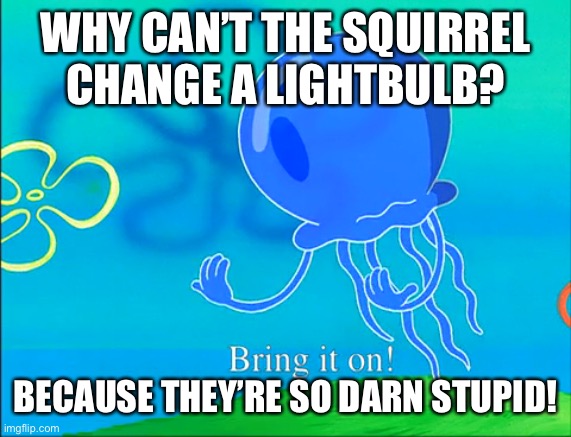 Bring it on! | WHY CAN’T THE SQUIRREL CHANGE A LIGHTBULB? BECAUSE THEY’RE SO DARN STUPID! | image tagged in bring it on | made w/ Imgflip meme maker