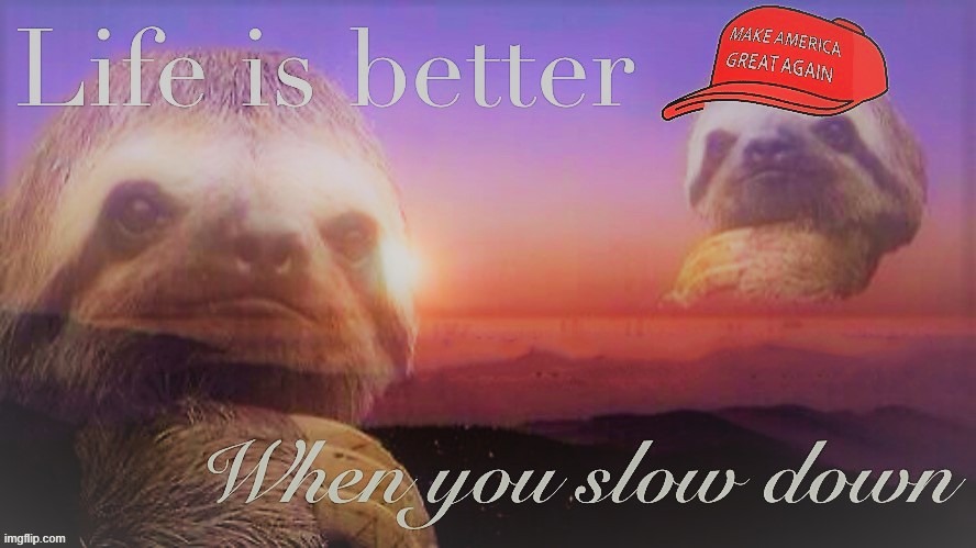 New SN, new outlook on life :) | image tagged in maga sloth life is better when you slow down,sloth,imgflipper,name,sloths,imgflip user | made w/ Imgflip meme maker