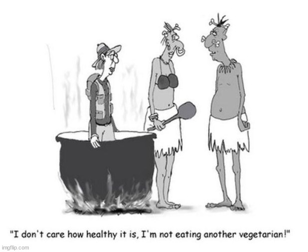 image tagged in comics/cartoons | made w/ Imgflip meme maker