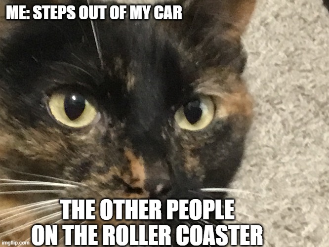 U said wut | ME: STEPS OUT OF MY CAR; THE OTHER PEOPLE ON THE ROLLER COASTER | image tagged in memes,funny,no one cares | made w/ Imgflip meme maker