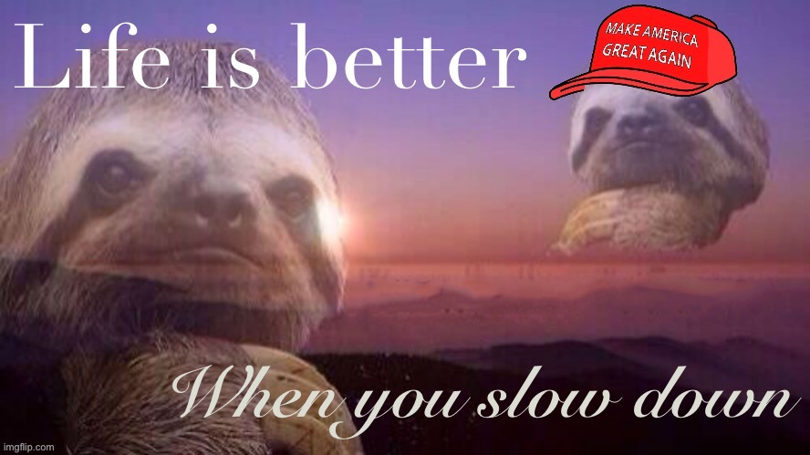 High Quality MAGA sloth life is better when you slow down Blank Meme Template