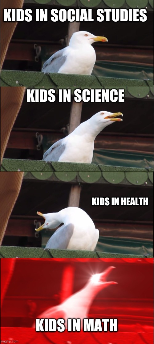 Inhaling Seagull | KIDS IN SOCIAL STUDIES; KIDS IN SCIENCE; KIDS IN HEALTH; KIDS IN MATH | image tagged in memes,inhaling seagull | made w/ Imgflip meme maker
