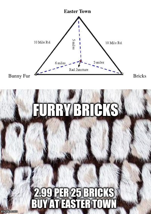 human geography be like | FURRY BRICKS; 2.99 PER 25 BRICKS
BUY AT EASTER TOWN | image tagged in funny memes | made w/ Imgflip meme maker