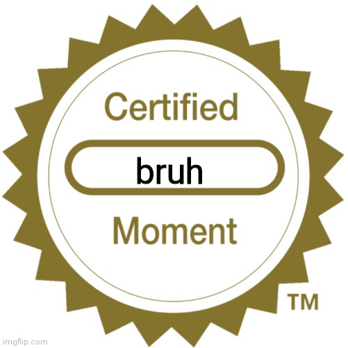 Certified Moment | bruh | image tagged in certified moment | made w/ Imgflip meme maker