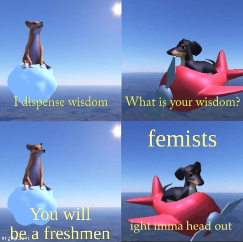 freshmen lol | femists; You will be a freshmen | image tagged in wisdom dog rejected,oh wow are you actually reading these tags,memes,wisdom | made w/ Imgflip meme maker