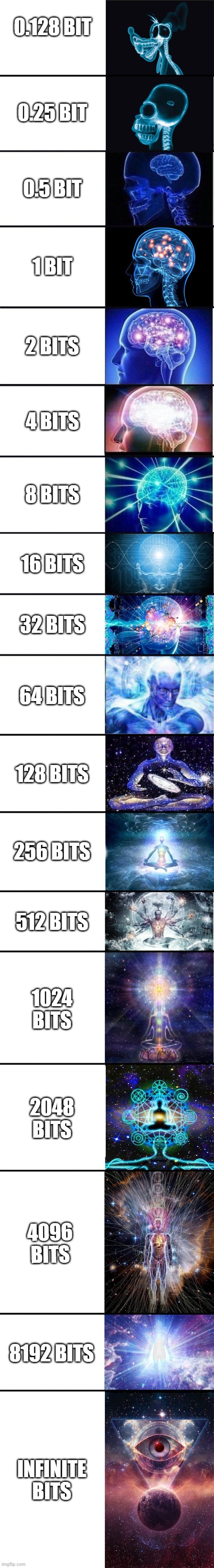 Tru | 0.128 BIT; 0.25 BIT; 0.5 BIT; 1 BIT; 2 BITS; 4 BITS; 8 BITS; 16 BITS; 32 BITS; 64 BITS; 128 BITS; 256 BITS; 512 BITS; 1024 BITS; 2048 BITS; 4096 BITS; 8192 BITS; INFINITE BITS | image tagged in expanding brain 9001 | made w/ Imgflip meme maker