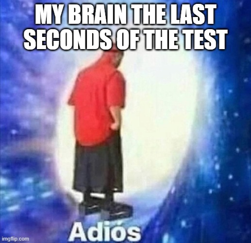 Adios | MY BRAIN THE LAST SECONDS OF THE TEST | image tagged in adios | made w/ Imgflip meme maker