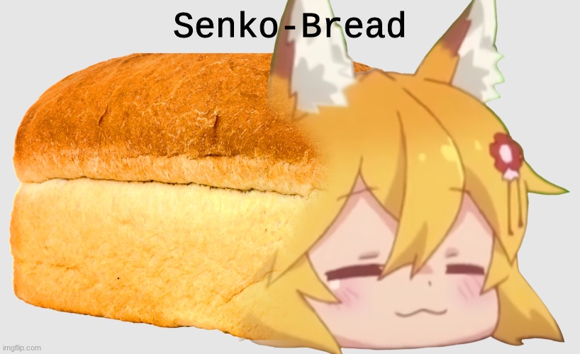 SENKO WHAT HAPPENED TO YOU |  Senko-Bread | image tagged in senko,the helpful fox senko,bread senko | made w/ Imgflip meme maker